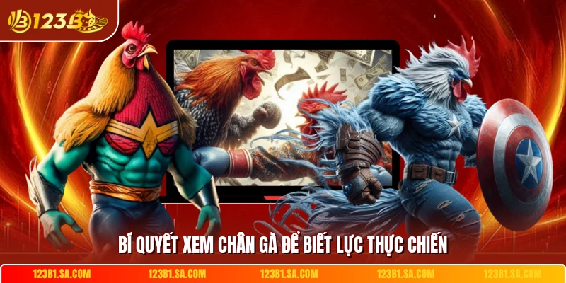 Bí quyết xem chân gà để biết lực thực chiến