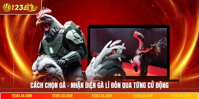 Cach Chon Ga Nhan Dien Ga Li Don Qua Tung Cu Dong