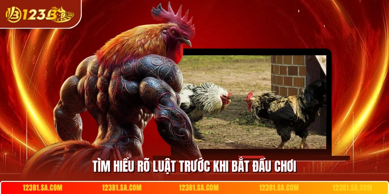 Tìm hiểu rõ luật trước khi bắt đầu chơi