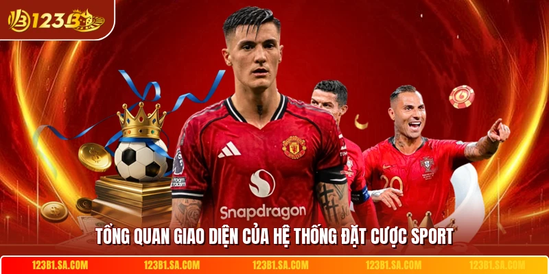 Tổng quan giao diện của hệ thống đặt cược sport